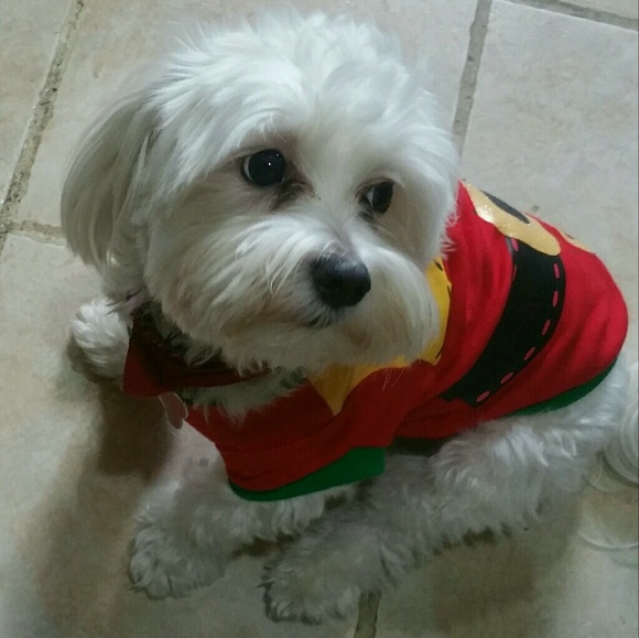 Meet your Posher, Diane - Picture 1 of 1